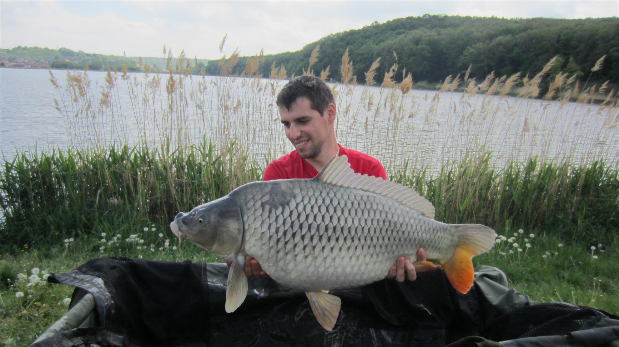 Harsany 1 - 5 mai. - img2612.JPG